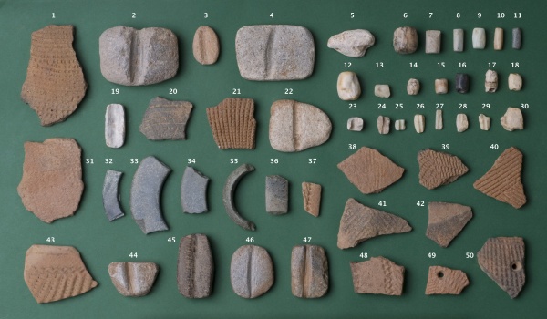 Eickelkamp 0185 FF Niger neu.jpg